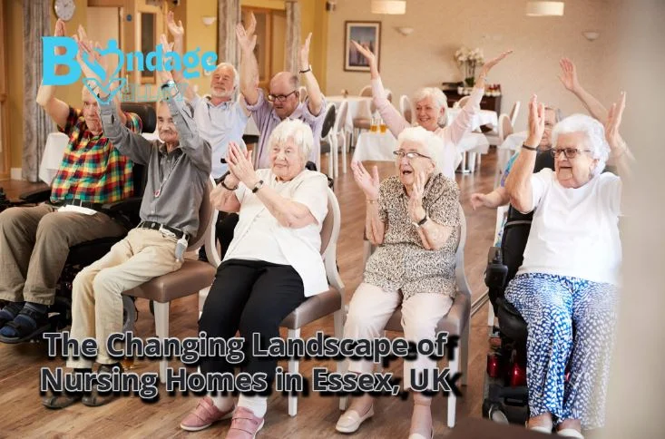 The Changing Landscape of Nursing Homes in Essex, UK